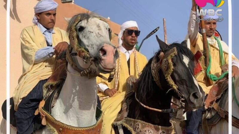 غرداية: المهرجان الجهوي للفروسية بمضمار ساقية العين