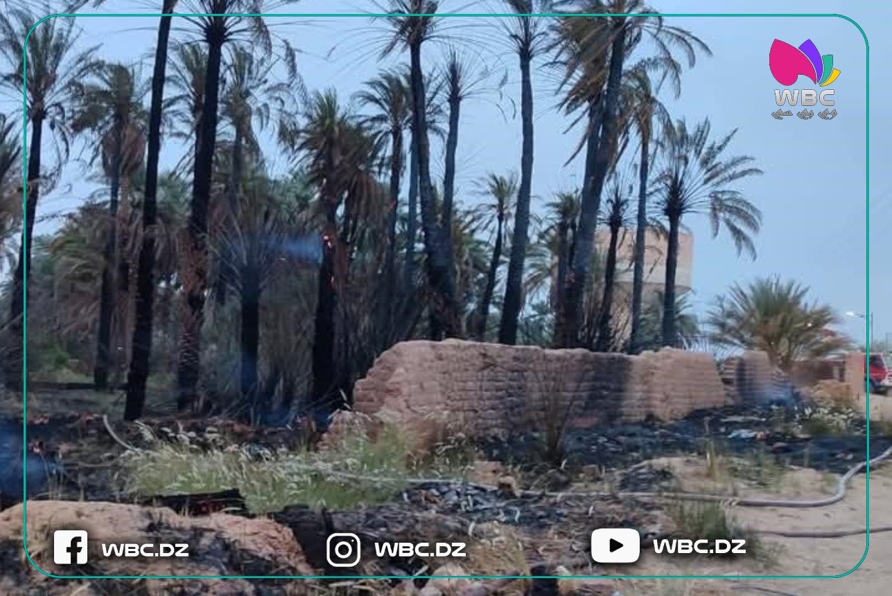 الحماية المدنية بالمنيعة تتدخل لإخماد حريق نخيل بحي تين بوزيد