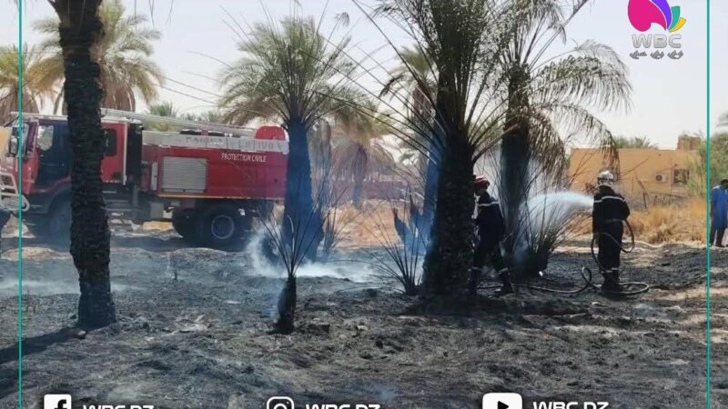 المنيعة: فرق الحماية المدنية تتدخل لإخماد حريق في بساتين النخيل