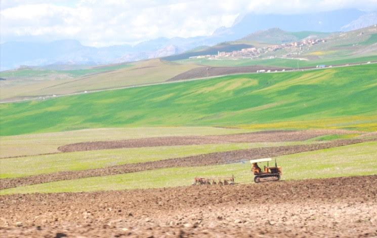 وهران: تنمية وحماية الأراضي العمومية.. تستمر العملية بوتيرة مضاعفة