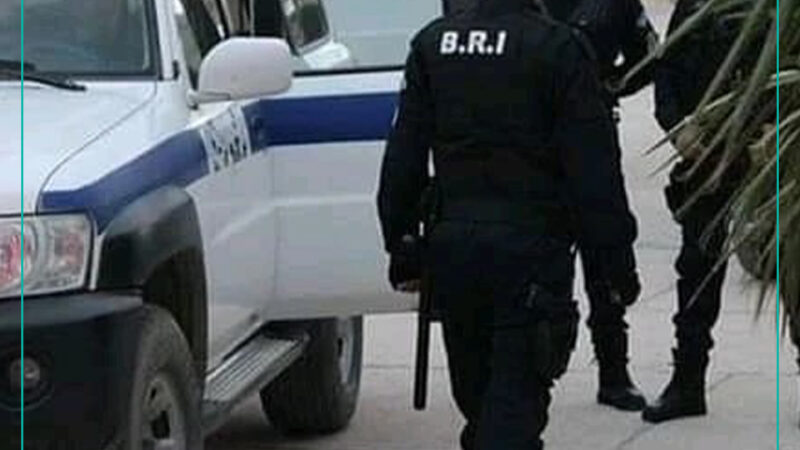 ميلة: الإطاحة بمسبوق قضائيا يحترف سرقة الهواتف النقالة