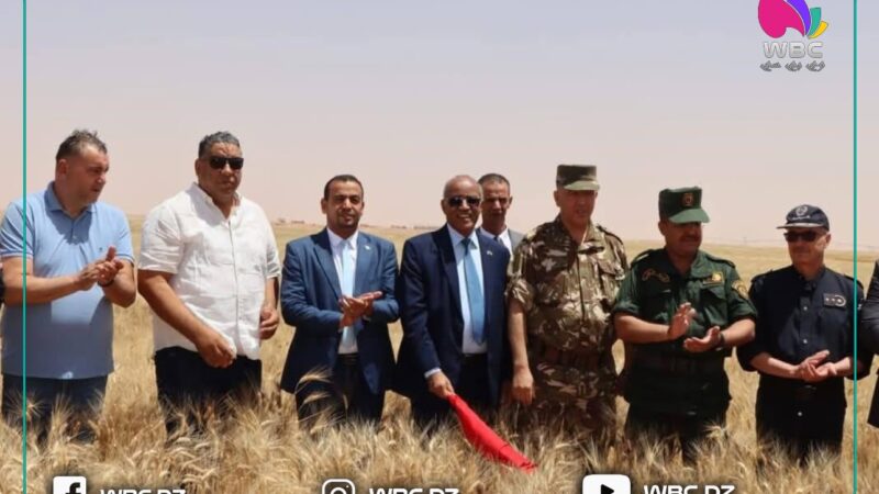 المنيعة: انطلاق موسم الحصاد والدرس 2024-2025 وتوقعات بإنتاج وفير