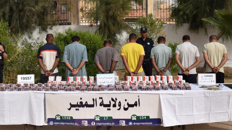 المغير: ضبط ما يفوق 19 ألف كبسولة “بريغابالين” في إحدى غابات النخيل