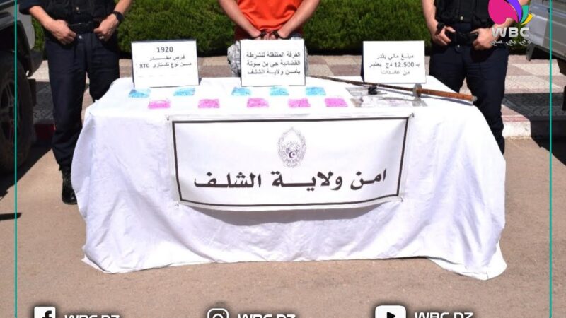 الشلف: توقيف بارون المخدرات الصلبة  وضبط أزيد من 1900 قرص “إكستازي”