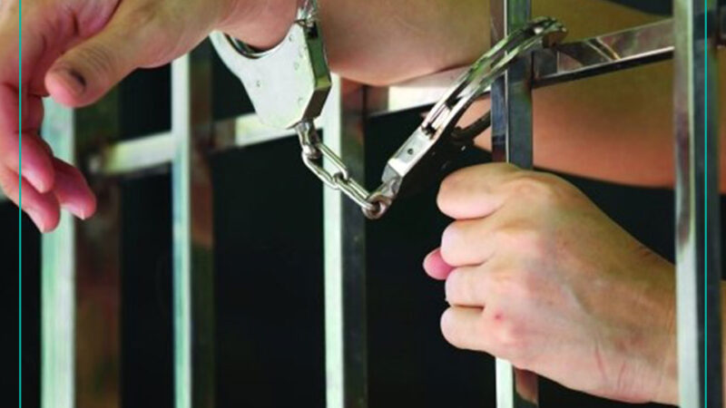 ميلة: إيداع شخص الحبس المؤقت بتهمة تحويل الحليب المدعّم لإنتاج مثلجات فاسدة